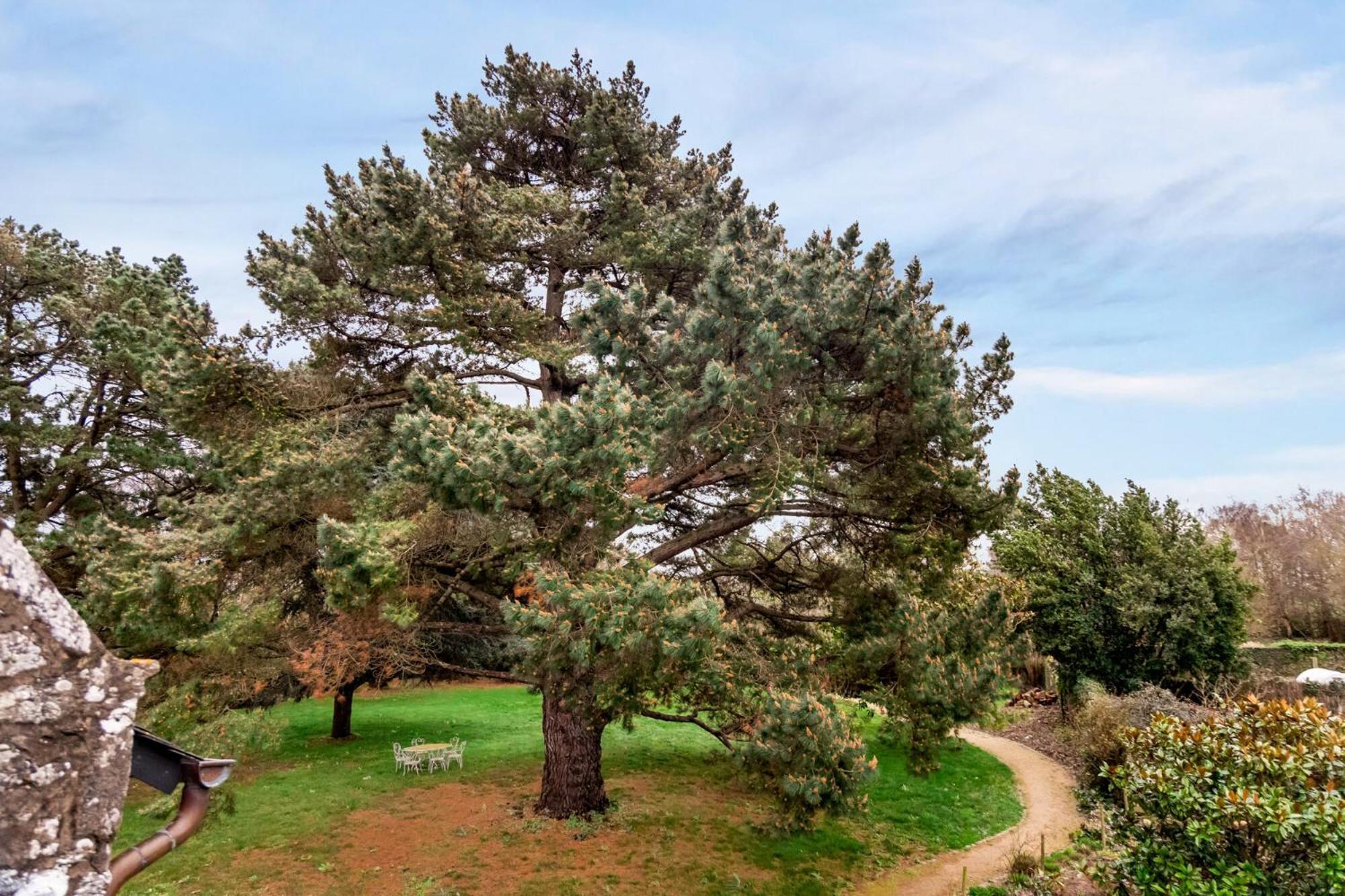 Bed and Breakfast Manoir Des Bords De Rance Plouer-sur-Rance Екстер'єр фото