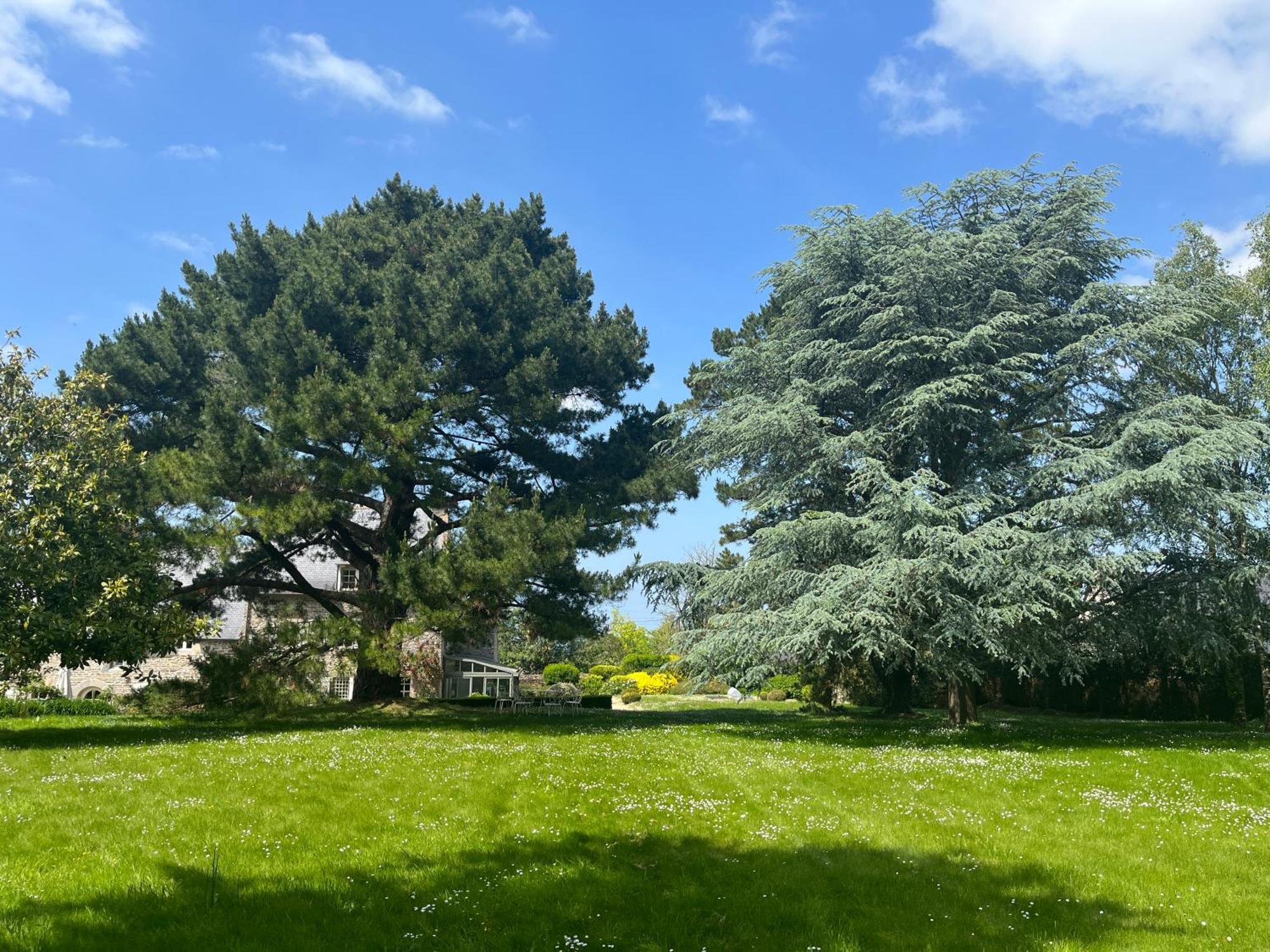 Bed and Breakfast Manoir Des Bords De Rance Plouer-sur-Rance Екстер'єр фото