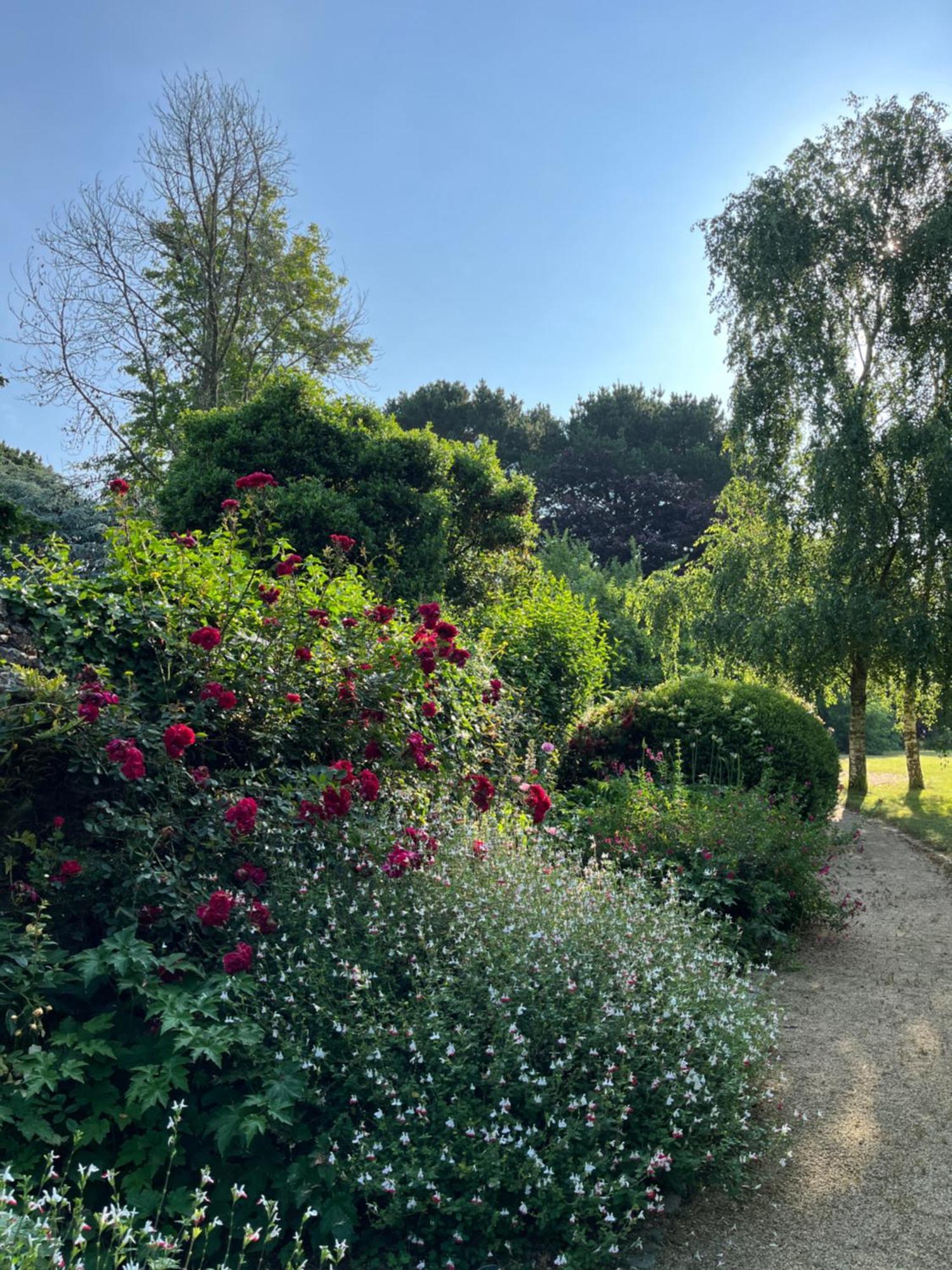 Bed and Breakfast Manoir Des Bords De Rance Plouer-sur-Rance Екстер'єр фото